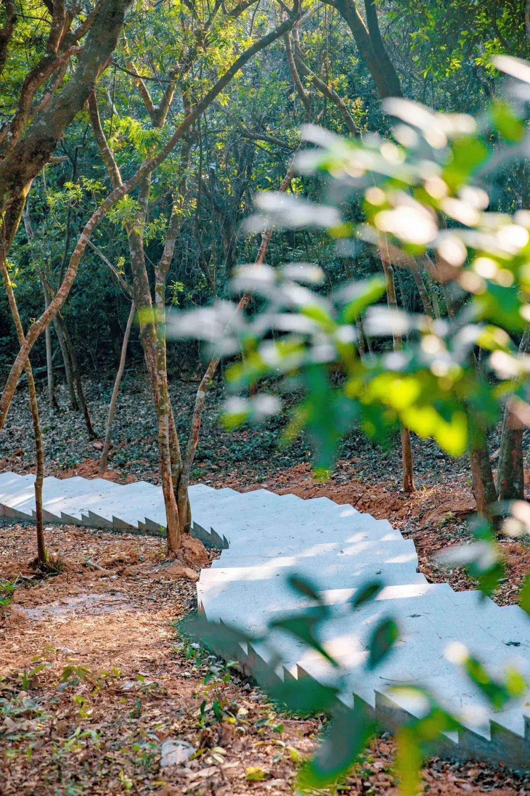 半山花海公园图片