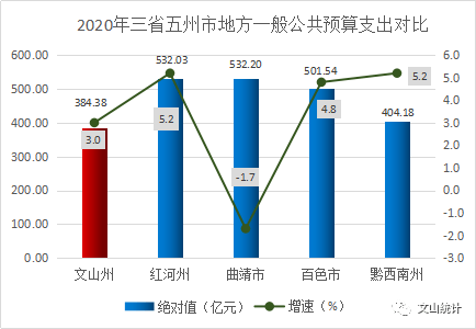 2020年文山市经济总量_文山市图片