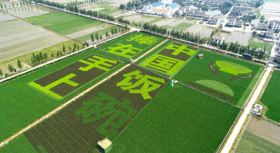 平阳昆阳镇gdp_家乡小镇 昆阳 不断更新中...