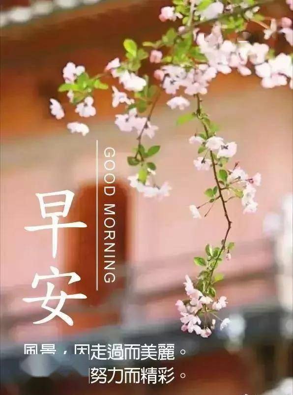 早晨安好：真诚地祝愿你永远幸福平安，早安，朋友_问候