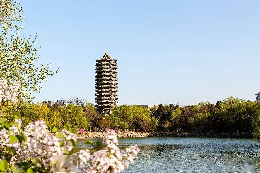 【北京大学】春天,北大校园百花齐放,五彩缤纷,末名湖畔,春意盎然.