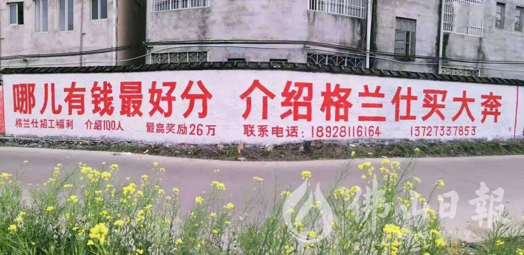 格兰仕招聘_就业信息 第4页 iBS外语学院(3)