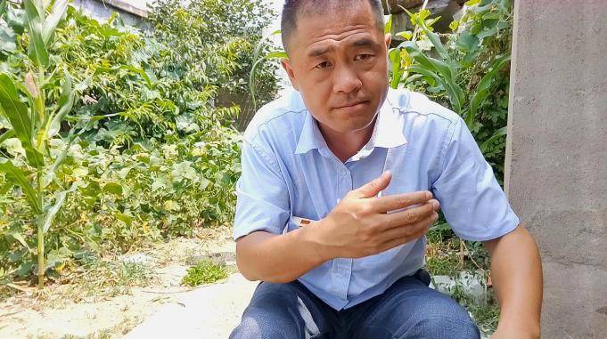猪是玉米堆出来的这样算一下一斤猪肉等于2斤半玉米