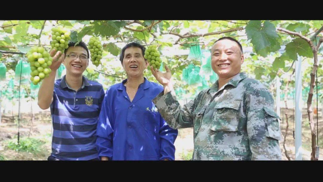 走向小康生活丰城精准扶贫助振兴一枝一叶总关情