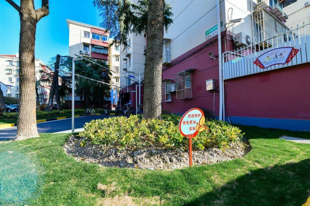 长征这个小区综合改造完成,效果够惊艳_绿化