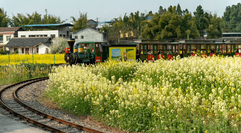 建议收藏,崇龛花海最强观赏指南出炉~还有直播福利等你领取!_潼南