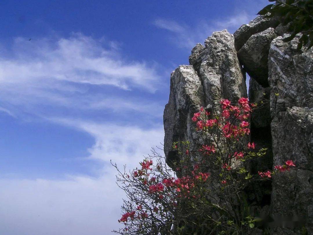 石門山,位於蓮花縣路口鎮,為蓮花,安福,永新三縣交界山,主峰海拔1300.