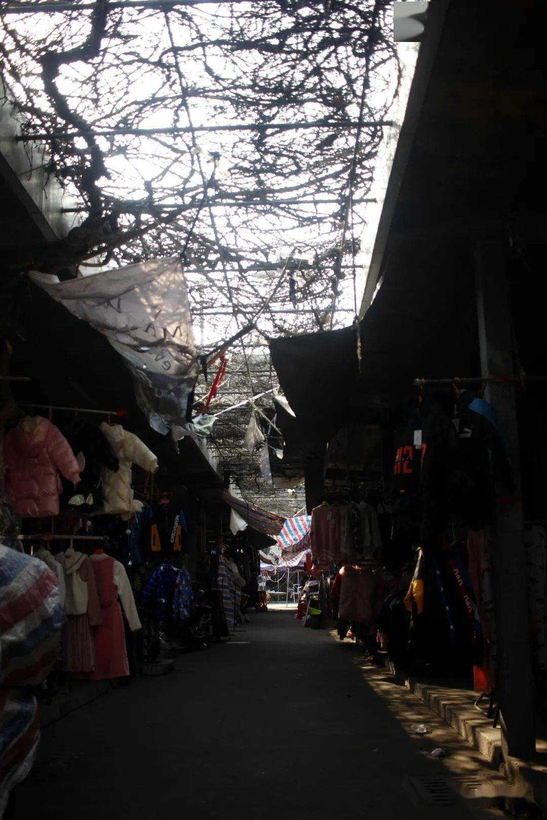 伦教小商品市场留影