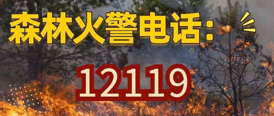 严防山火 云浮市森防办 严禁野外违规用火 筑牢森林防火屏障