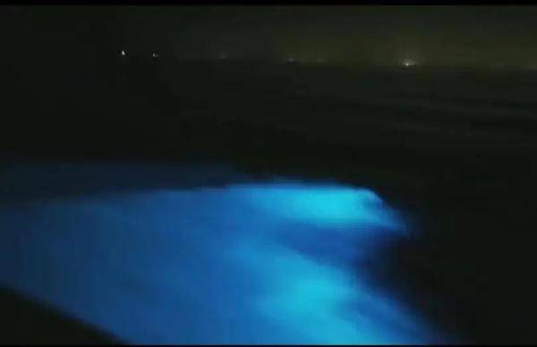 奇幻！涠洲岛荧光海滩宛若蓝色星河，专家的解答让人深思