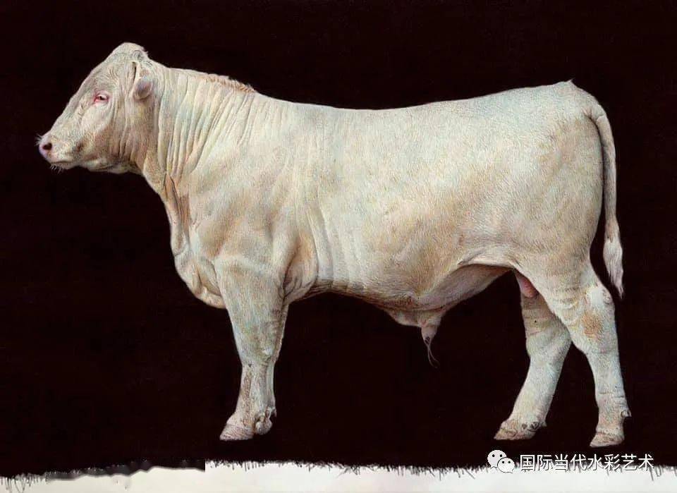 牛的速写牛雕1909吉尔伽美什史诗伊拉克艺术家休憩38x56cm印度关注