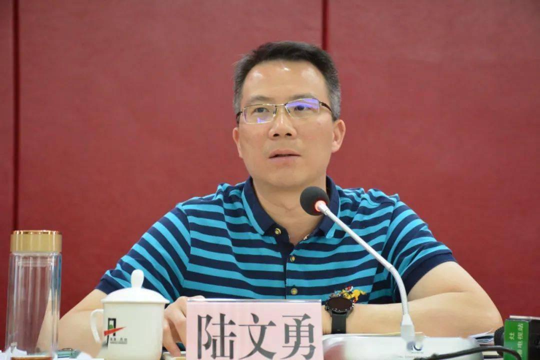 丹灶镇党委副书记,镇长陆文勇作会议总结发言"全镇要发挥联动作用
