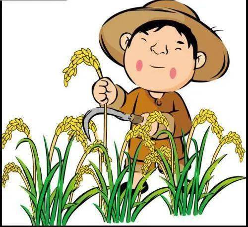 04水稻健康成长,需要小记者们时常呵护,清理水稻田中的杂草,害虫,给予