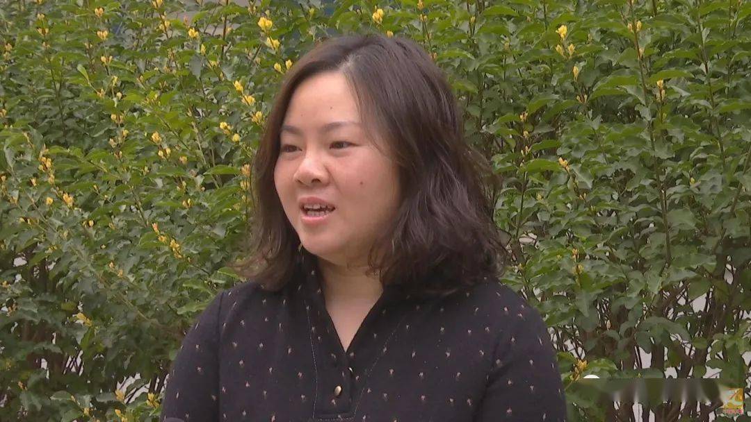 丰城市2019经济GDP_丰城市人民医院图片