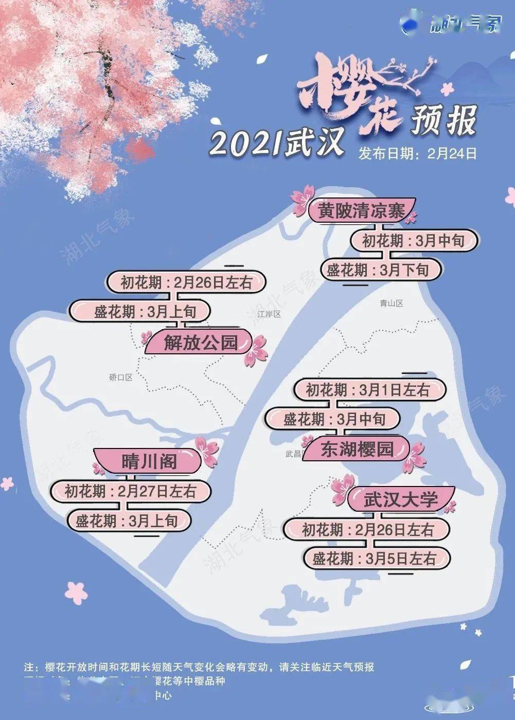 最新樱花预报来了！ 武大樱花将于26日前后开放，花期比往年多出一周