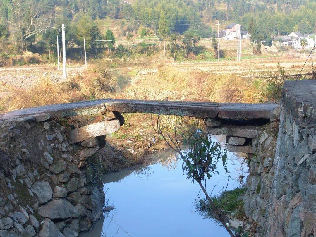 派岩桥木廊桥跨落在陈宅村陈宅溪水口,西南侧有谢灵运纪念碑亭一座.