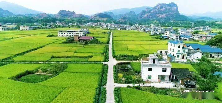 会昌GDP_会昌豆干(3)