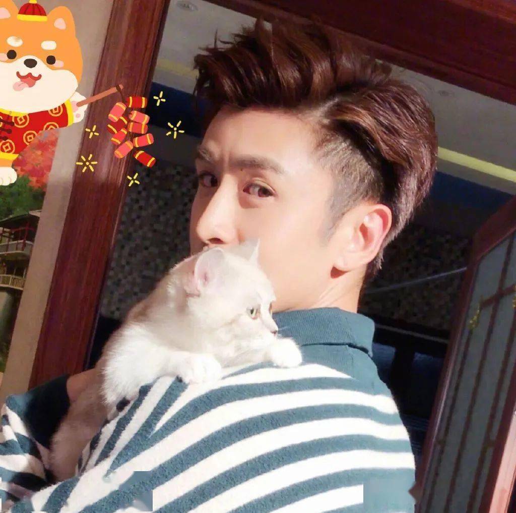 微信头像张云龙