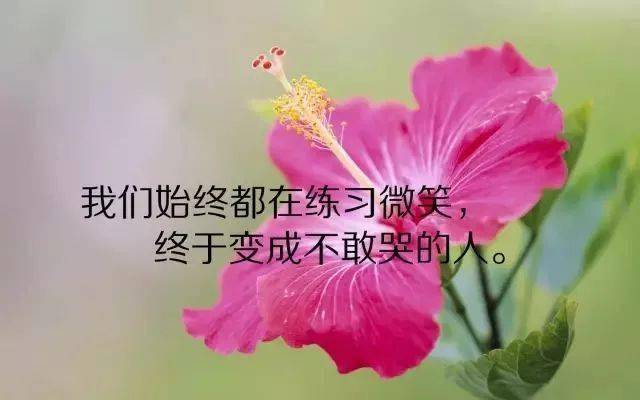 ecda8c7a5ba542dfbe07e311565b1478.jpeg