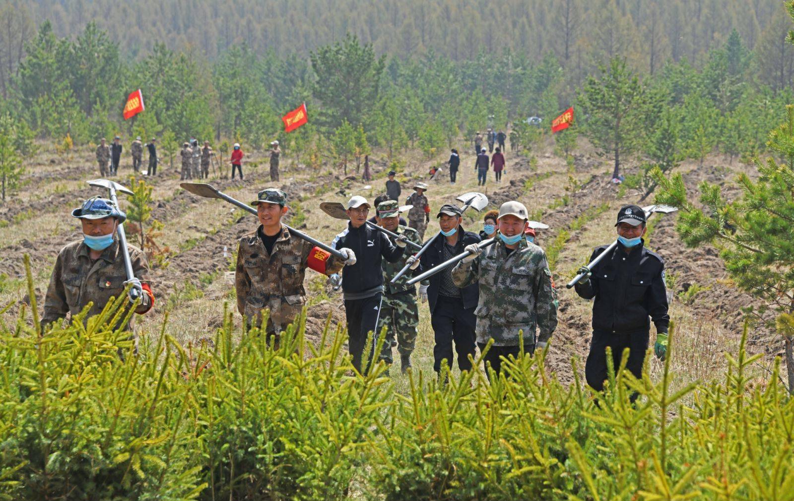 塞罕坝机械林场安长明林场已成带动居民脱贫致富的绿色银行