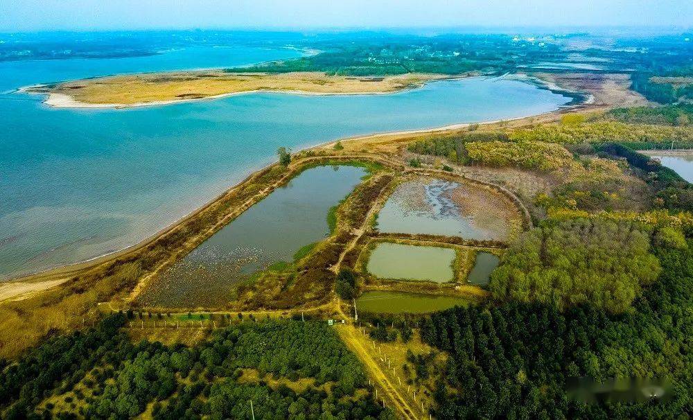南昌新建区乡镇经济总量排名_南昌新建区乡镇分布图