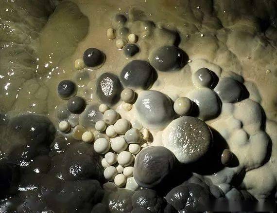 是在石灰岩洞穴内浅水坑中形成的具有同心圆结构的球状碳酸钙沉积物