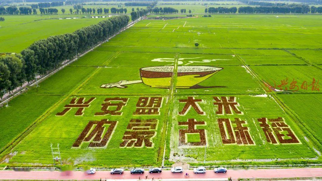 全国脱贫攻坚总结表彰大会在兴安盟干部群众中引起热烈反响