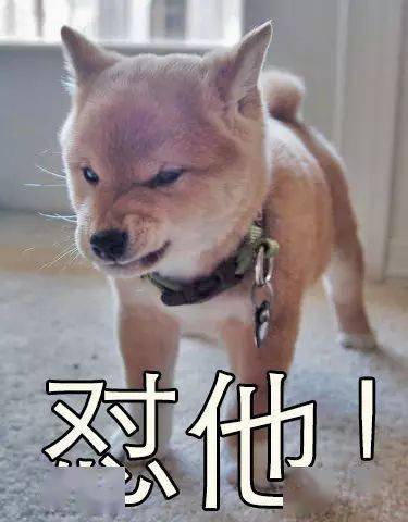 d832fe4d0f2f4c7482305051920246e7.jpeg