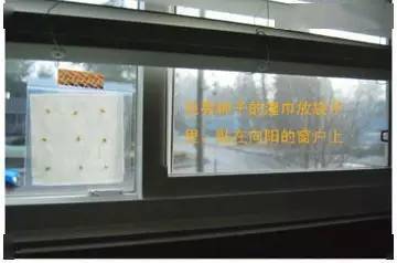 阳光挂网是什么 ff939b5ddba74d8aa5c5a0787d4470a4.jpeg