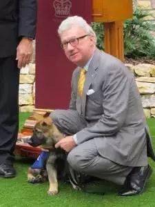 小警犬慘遭開除，竟是因為……好氣哦！！ 萌趣萌寵 第6张