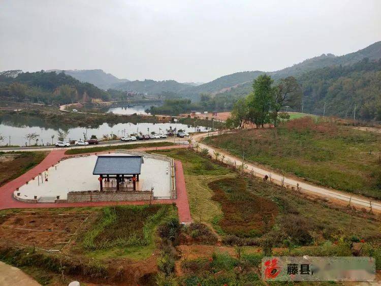 谢进铭到藤州镇检查指导乡村振兴示范点建设工作