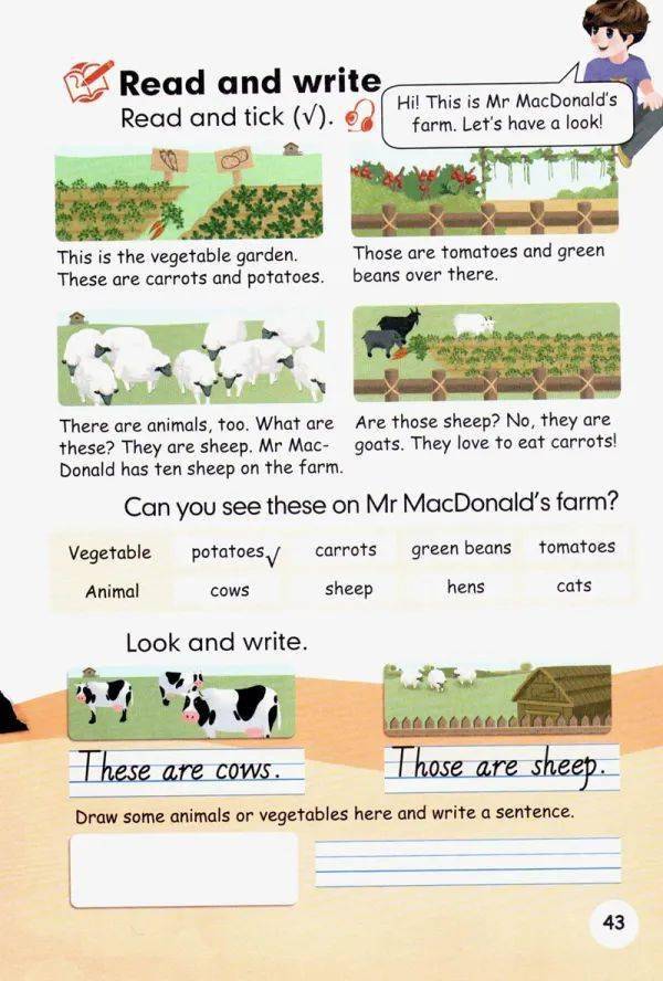 mr mac-donald has ten sheep on the farm. 麦当劳的农场有十只羊.