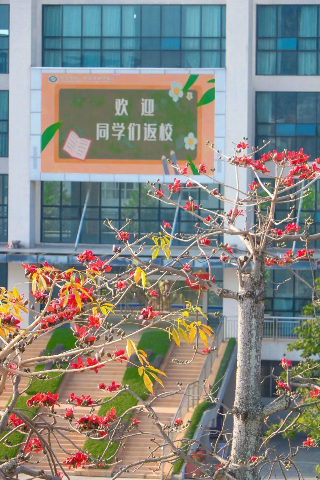 春暖花开,走进中山一职,捕捉那一抹让人心动的美好!_校园