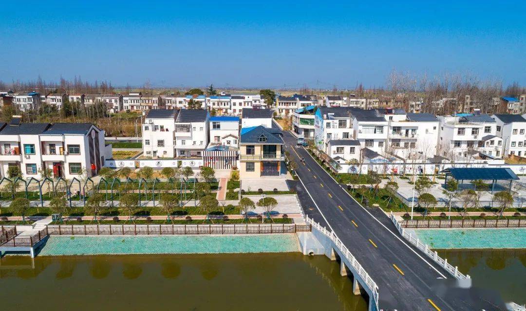 吴晴霄:春到人间草木知