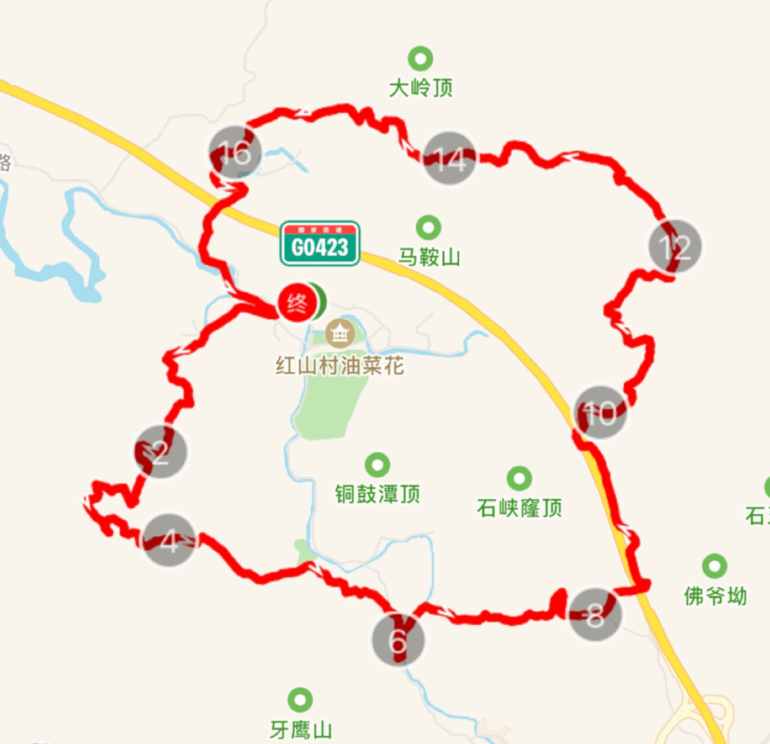 已报名200人新年第一徒2021花都梯面油菜花节18公里徒步大会赏红山村
