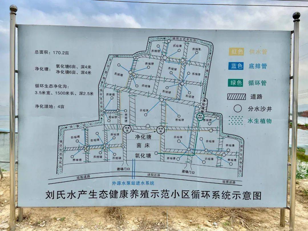 富水镇人口_人口普查(2)