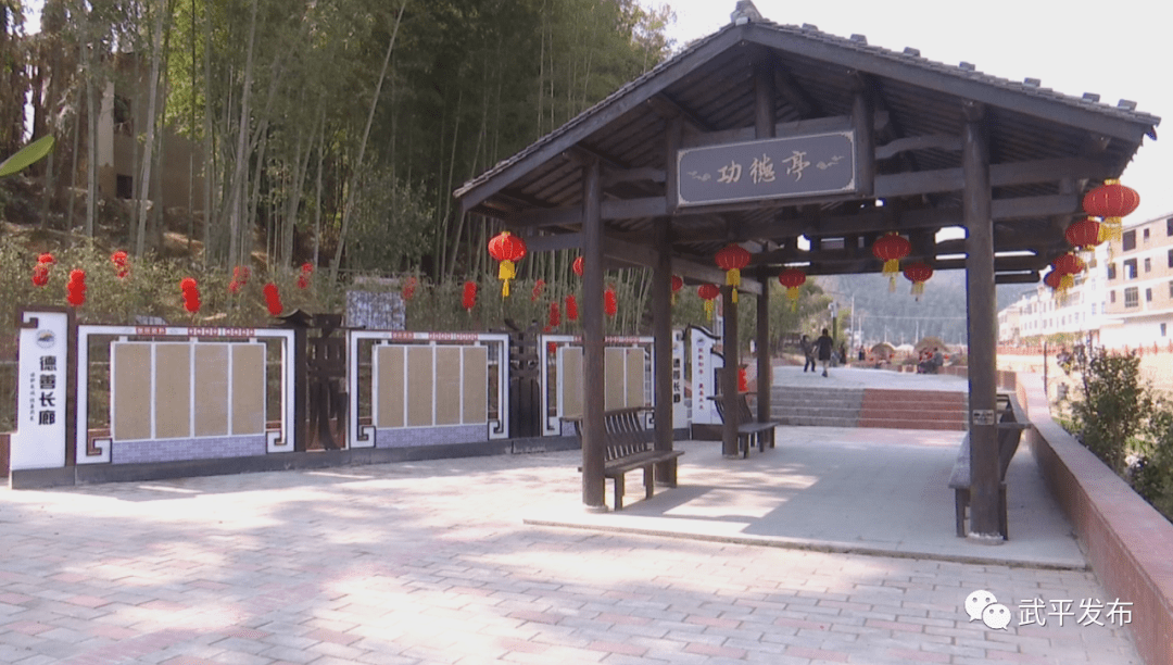 乡村振兴武东这样的主题公园你给打几分