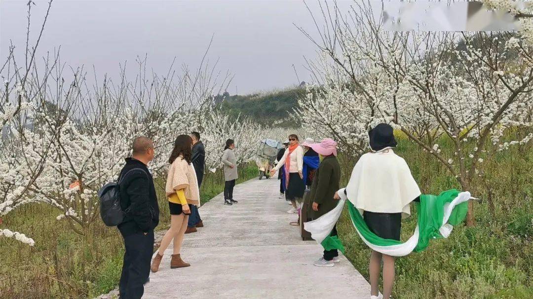 井研县有多少人口_乐山井研遇有气象记录以来最大雨量全市紧急转移2994人