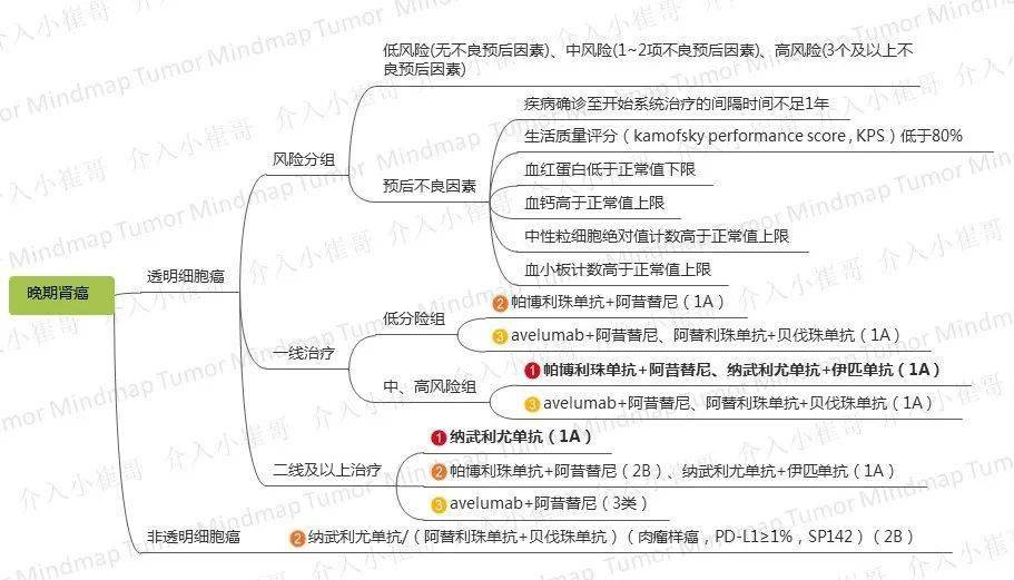 腫瘤思維導圖25期 | 免疫檢查點抑制劑臨床應用指南csco2020診療指南