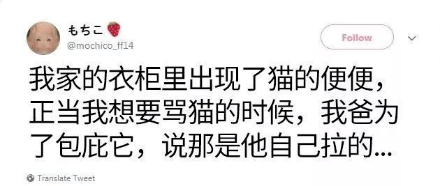 爸媽能寵狗狗到什麼地步？第一個也太狠了吧哈哈哈哈… 萌趣萌寵 第1张