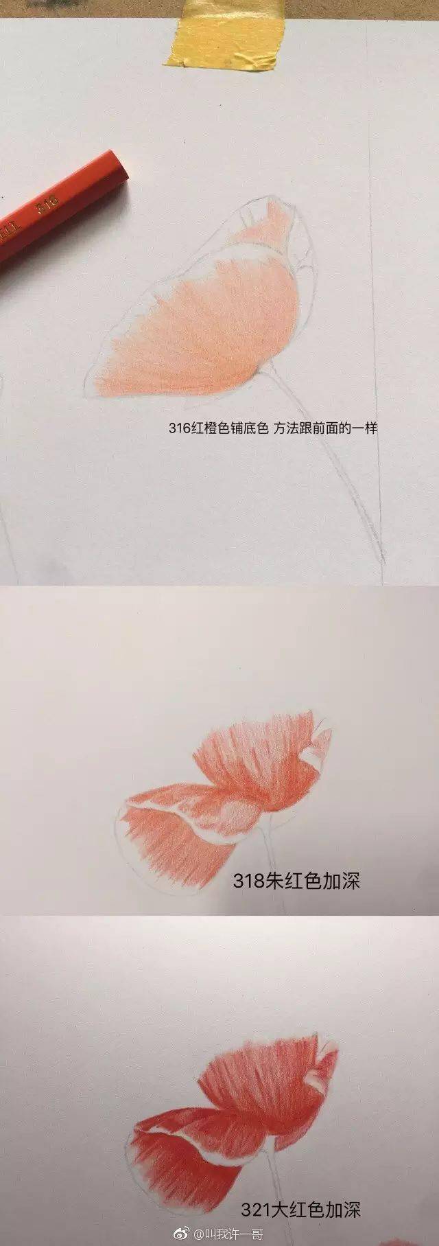 获取1200g全套彩铅画视频教程,非常系统全面,从基础到深入的视频教程