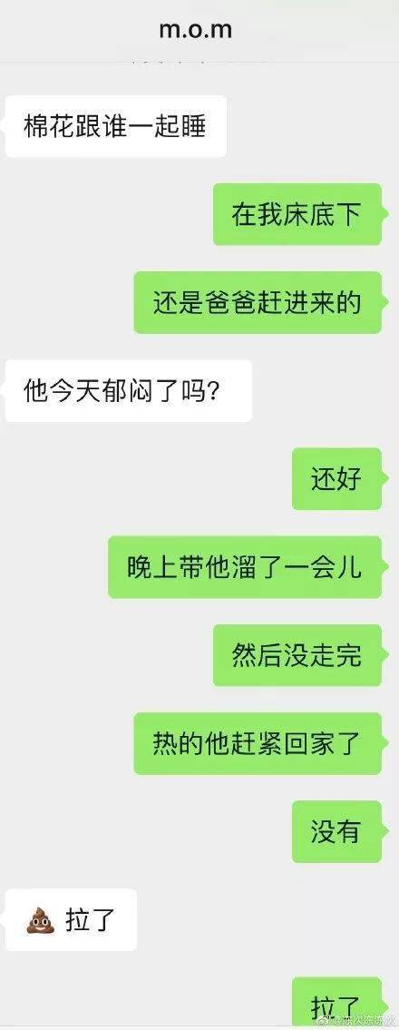 爸媽能寵狗狗到什麼地步？第一個也太狠了吧哈哈哈哈… 萌趣萌寵 第9张