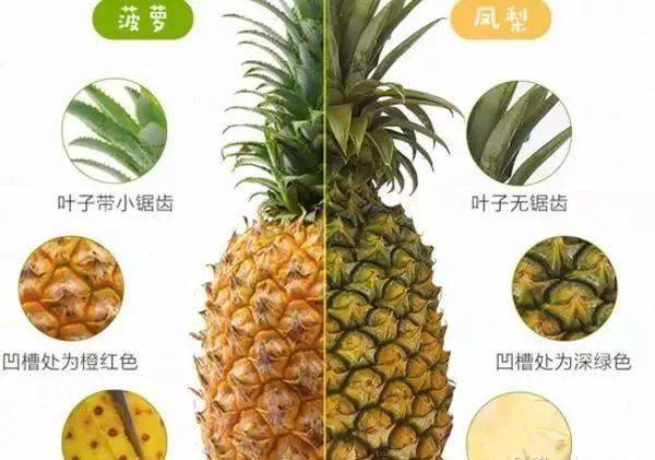 菠萝怎么削最简单最快 a39be0fb2421404e871906577570fc54.jpeg