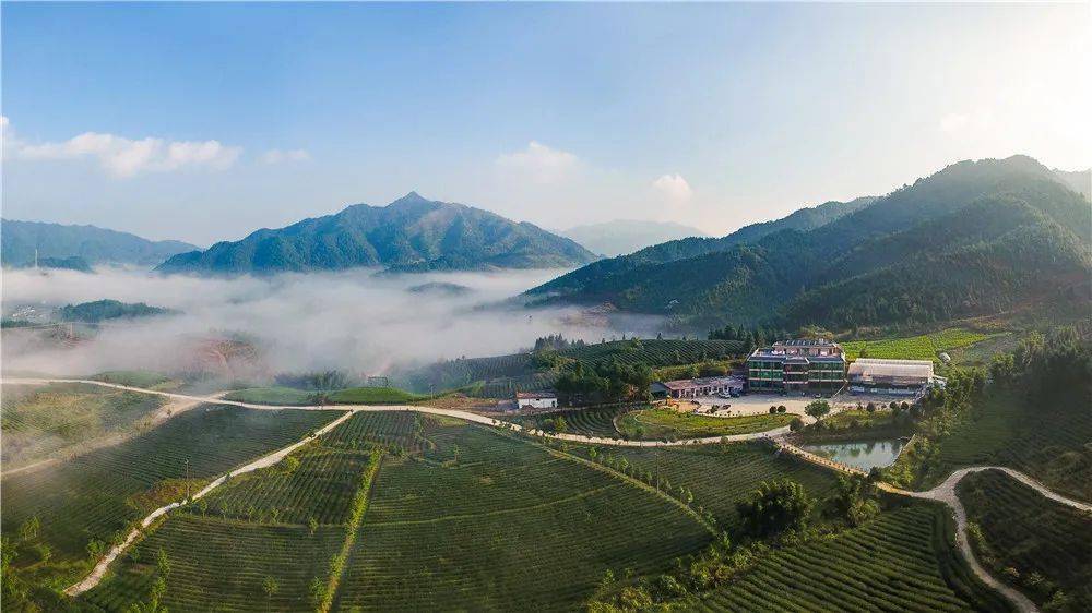 清远太平镇回黄坑能回吗「广东省韶关市仁化县董塘镇封城了吗」
