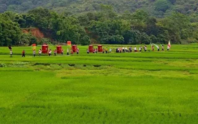 高州泗水桃坑村