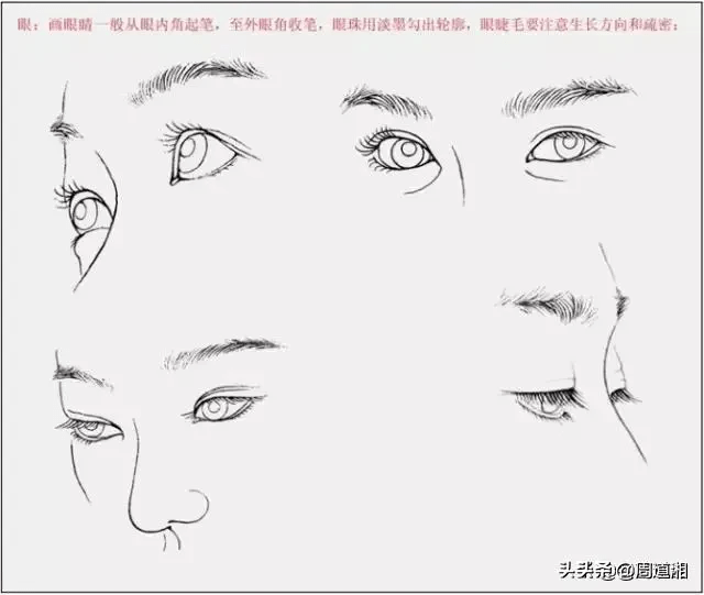377b8fce352d425bbb4bb6e5db675ad9.png