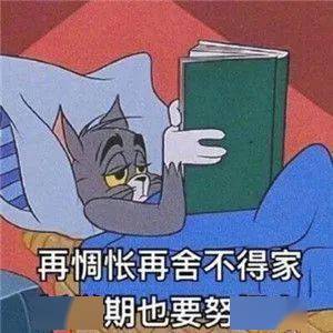 4d6daaff49114b638f09d71795345ddc.jpeg
