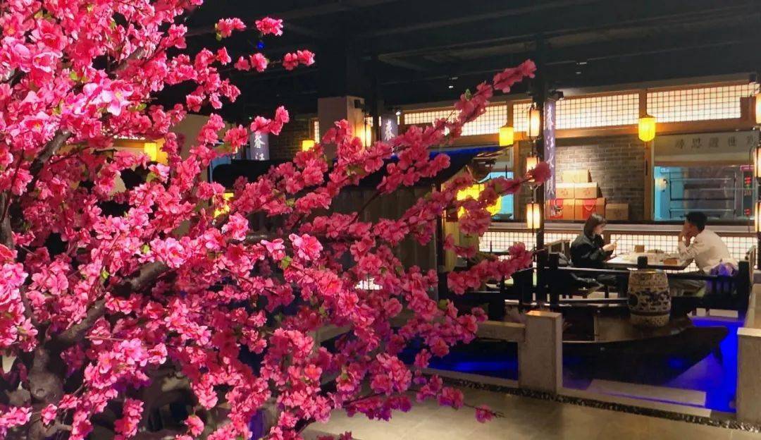 美食淄博外皮酥脆肉质香嫩大红门老北京烤鸭