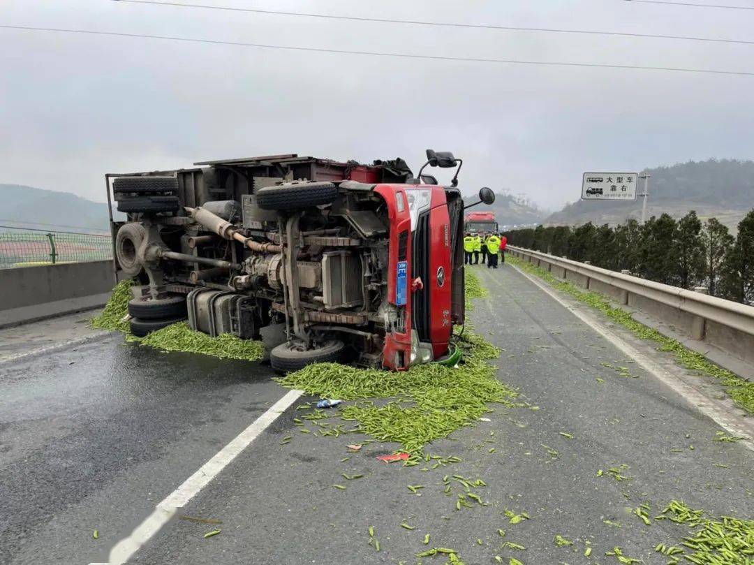 高速路上一辆货车爆胎侧翻,上百斤豌豆洒落一地.