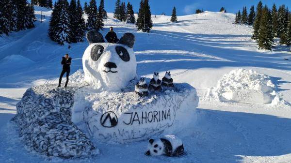 “大熊猫”来到滑雪场 “它们太可爱”